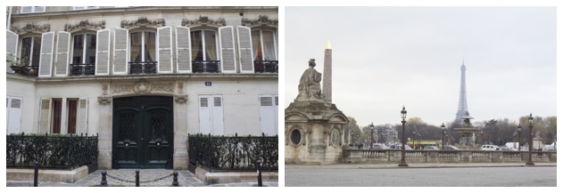 Paris building/Tower in the distance