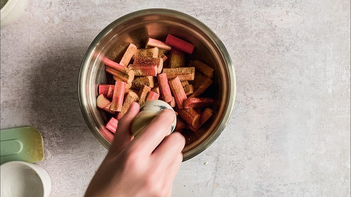 Ground cardamom is tossed into a bowl of rhubarb that sits on a light grey background.