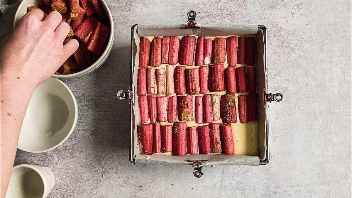 Rhubarb is picked up from a ceramic bowl to be placed on top of a cheesecake filling sitting in a metal tin on a light grey background.