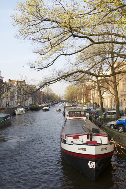 Fresh growth and a canal boat