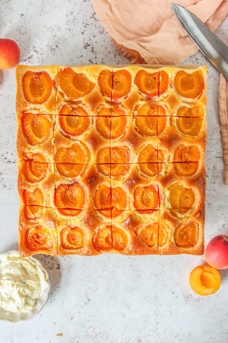 A sliced Austrian Apricot Cake sits on a gray surface.