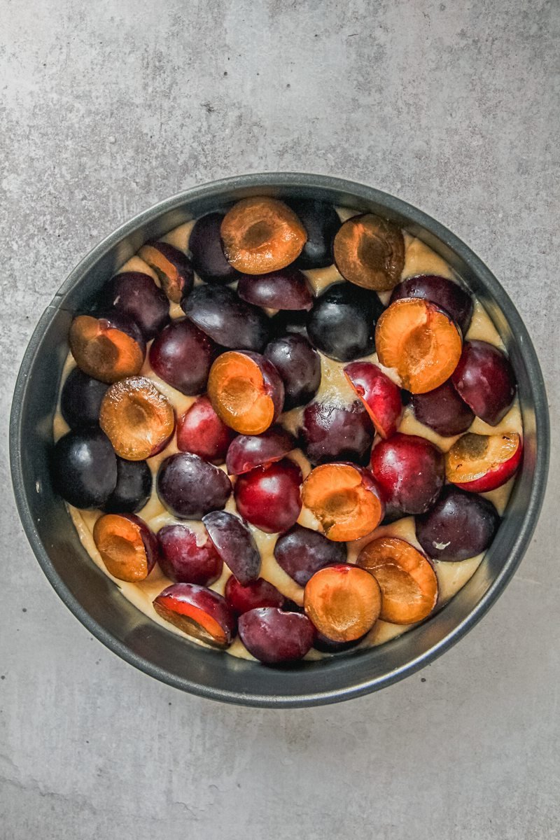 Plums sit pressed into cake batter in a round metal cake tin on a gray surface.