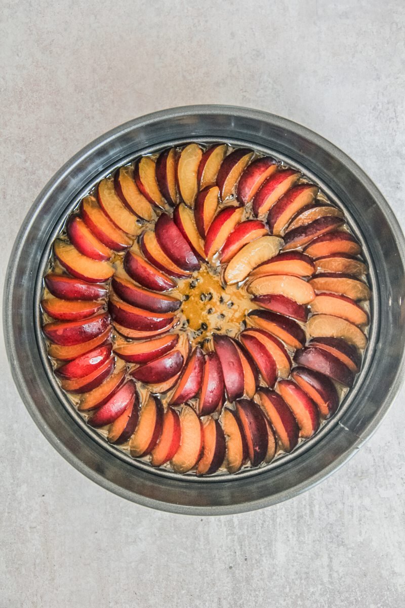 Sliced plums sit on top of a passionfruit syrup in a cake tin for an upside down plum cake on a gray surface.