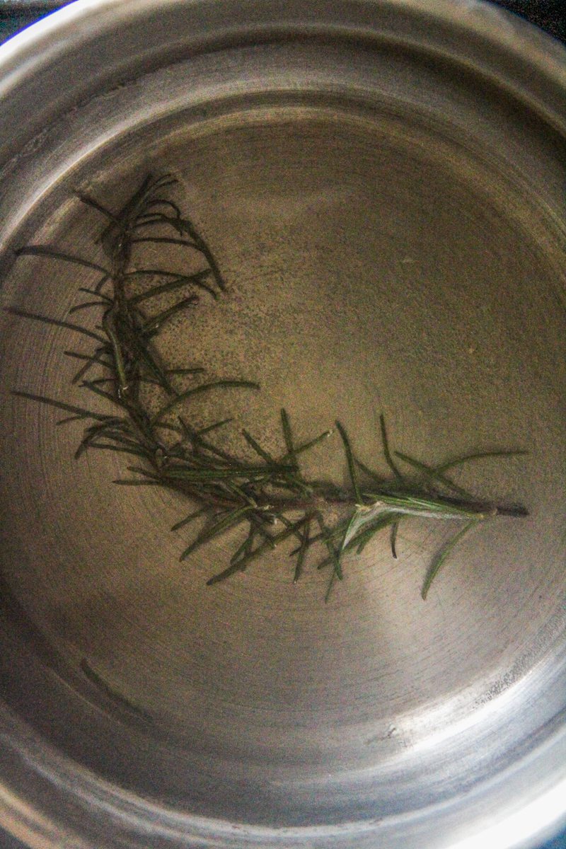 A rosemary sprig sits in water in a stainless steel saucepan.