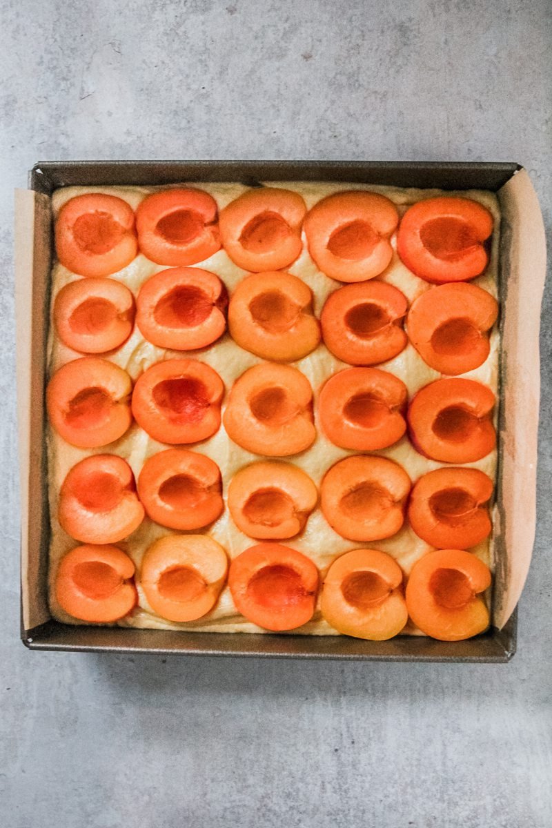 Halved apricots sit cut side up pressed into batter in a square cake tin on a gray surface.