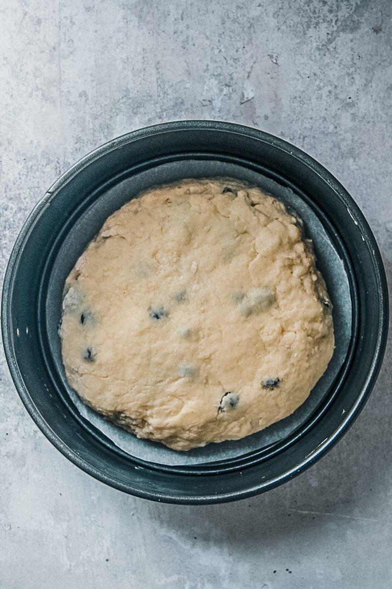 Australian Boston bun sits in a cake tin on a gray surface.