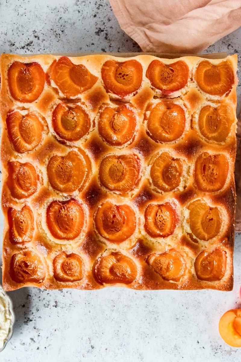 An Austrian Marillenkuchen sits on a gray surface.