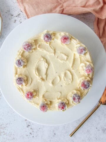 A orange cranberry layer cake sits on a white ceramic plate on a light gray surface.