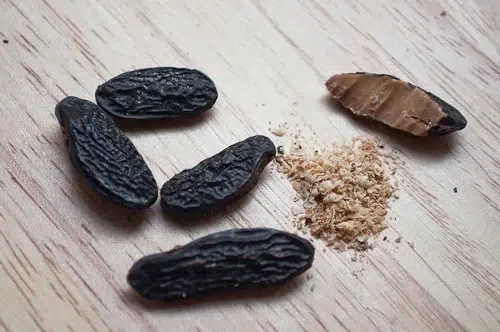Tonka beans