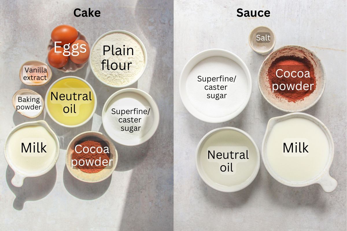 Ingredients for Turkish Chocolate Sauce Cake - Kakaolu Islak kek sit on a gray surface.