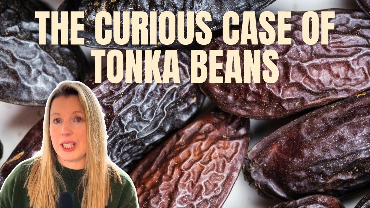The curious case of Tonka Beans cover image
