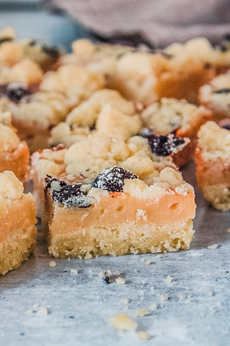 A side shot of New Zealand tan slice squares on a gray surface.