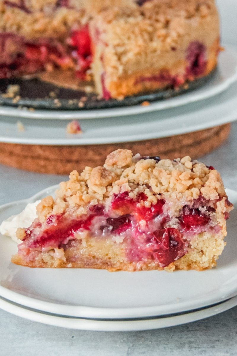 A slice of plum cake sits on two white plates with the remaining cake on white plates on a gray surface.