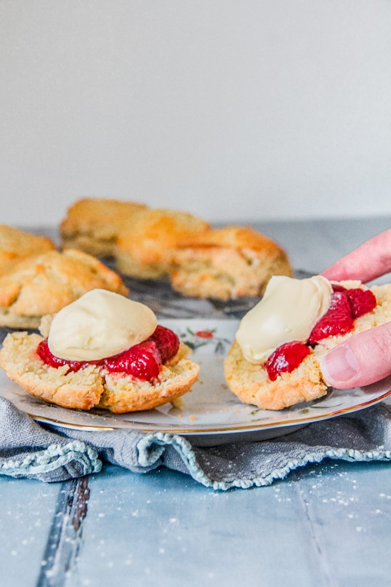Halved scones topped with roasted strawberries and lightly whipped cream sit on a individual plate on a gray cloth and gray background. With one being picked up.